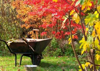 Fall garden maintenance
