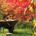 Fall garden maintenance
