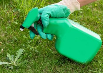 Get Rid Of Weeds With This Organic Weed Killer