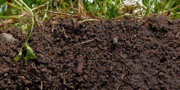 How To Prepare Your Soil For Vegetable Gardening