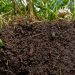 How To Prepare Your Soil For Vegetable Gardening