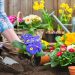 Preparing Your Garden For Spring