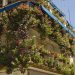 Valuable Tips For Creating Beautiful Balcony Gardens