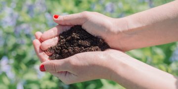 How To Incorporate Garden Compost Into Your Garden