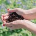 How To Incorporate Garden Compost Into Your Garden