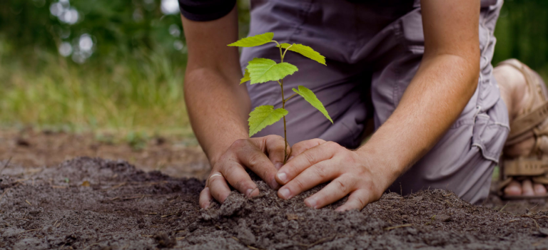 Learn Proper Planting Techniques For A Beautiful Garden – Jardening