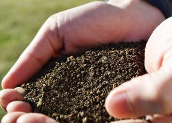 How To Choose A Environment Friendly Fertilizer