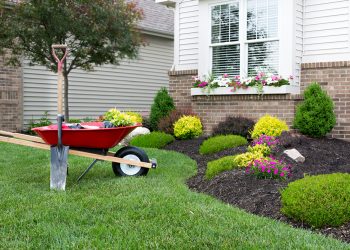 Landscaping Tips For Homeowners
