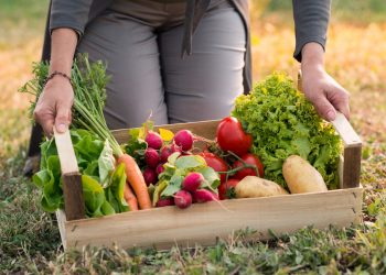 The Heart Of Organic Gardening