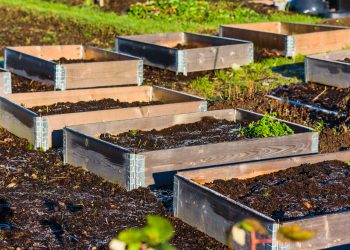 How To Create A Pallet Garden
