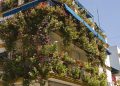 Valuable Tips For Creating Beautiful Balcony Gardens