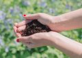 How To Incorporate Garden Compost Into Your Garden